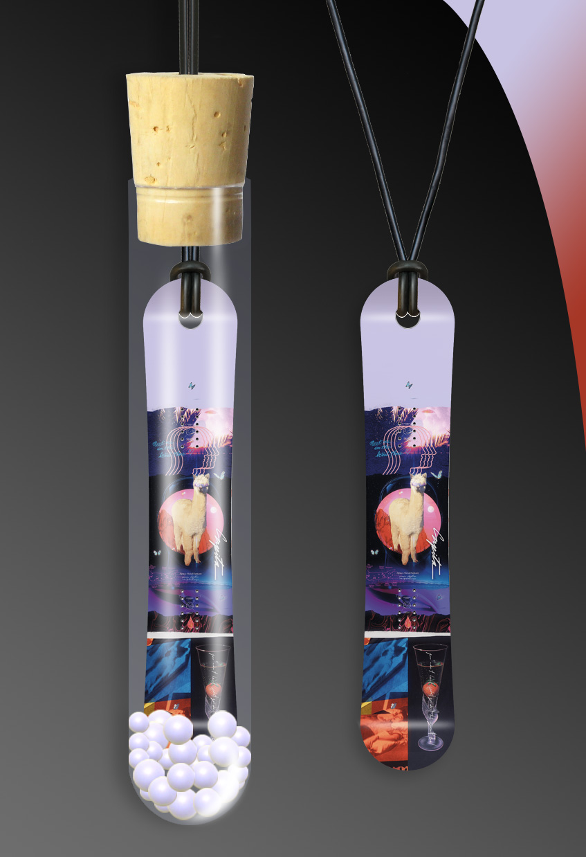 1368_Saison_2021_22_Snowboard_Halskette_Board_Style_Anhaenger_Halsband_Boarder_Kette_Necklace_Miniboards